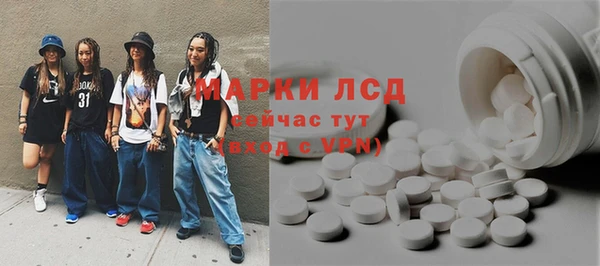 прущие грибы Волоколамск