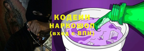 прущие грибы Волоколамск