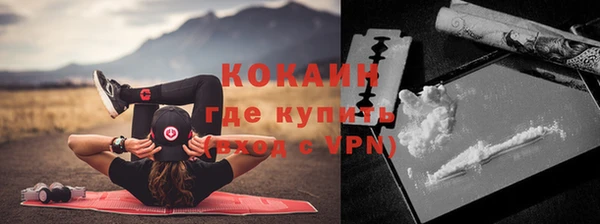прущие грибы Волоколамск