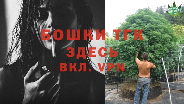 мдпв Верхний Тагил