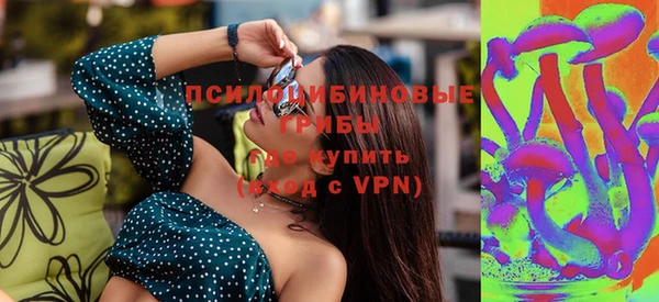 прущие грибы Волоколамск