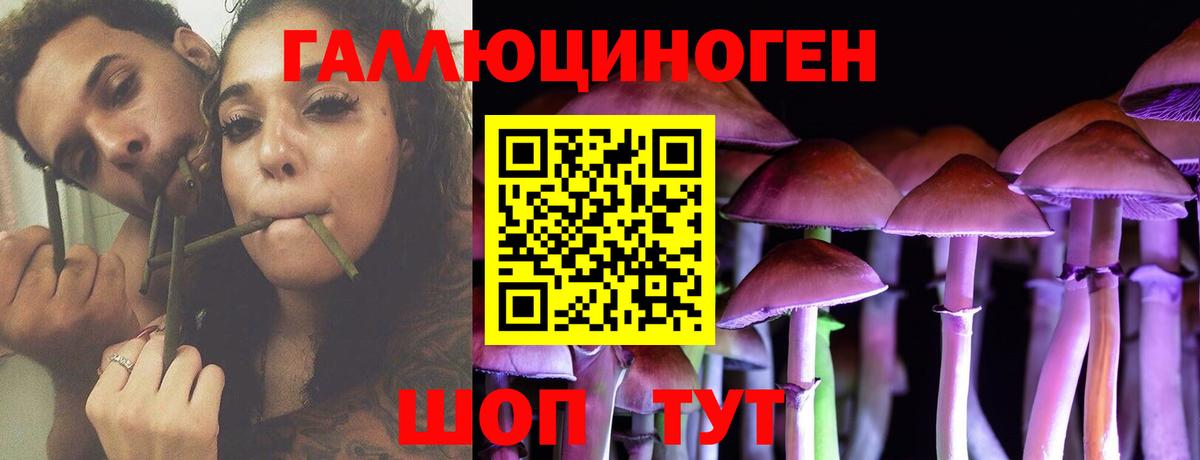 Псилоцибиновые грибы Cubensis Волжск